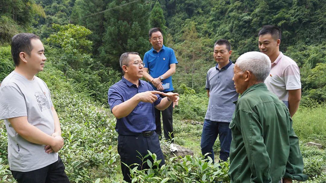 J9集团官方网站_J9.COM(中国区)·集团