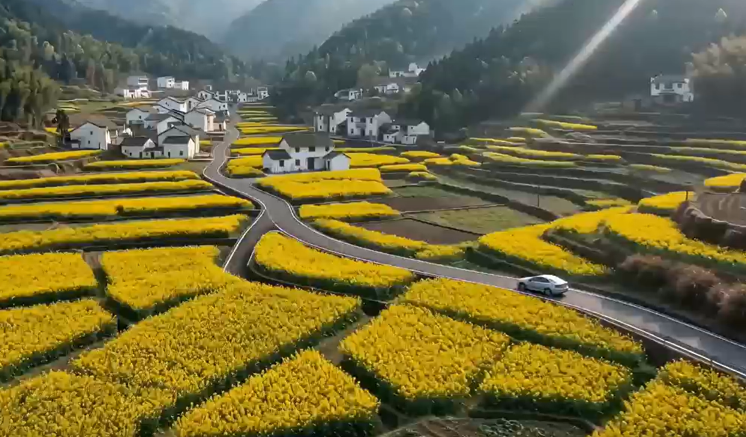 J9集团官方网站_J9.COM(中国区)·集团
